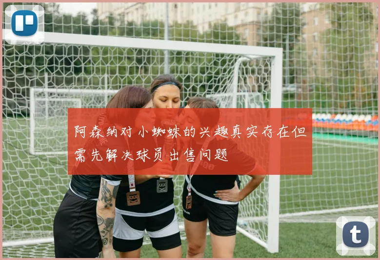 阿森纳对小蜘蛛的兴趣真实存在但需先解决球员出售问题