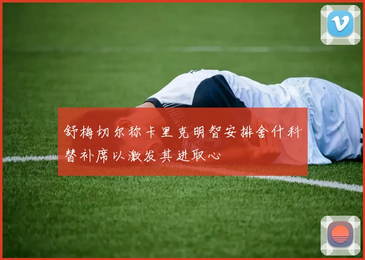 舒梅切尔称卡里克明智安排舍什科替补席以激发其进取心